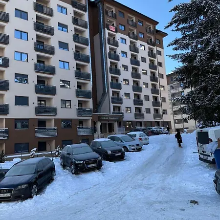Nikola * Zlatibor