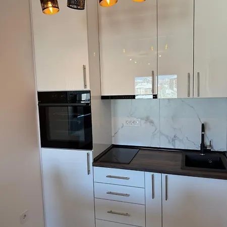 Apartment Nikola Zlatibor